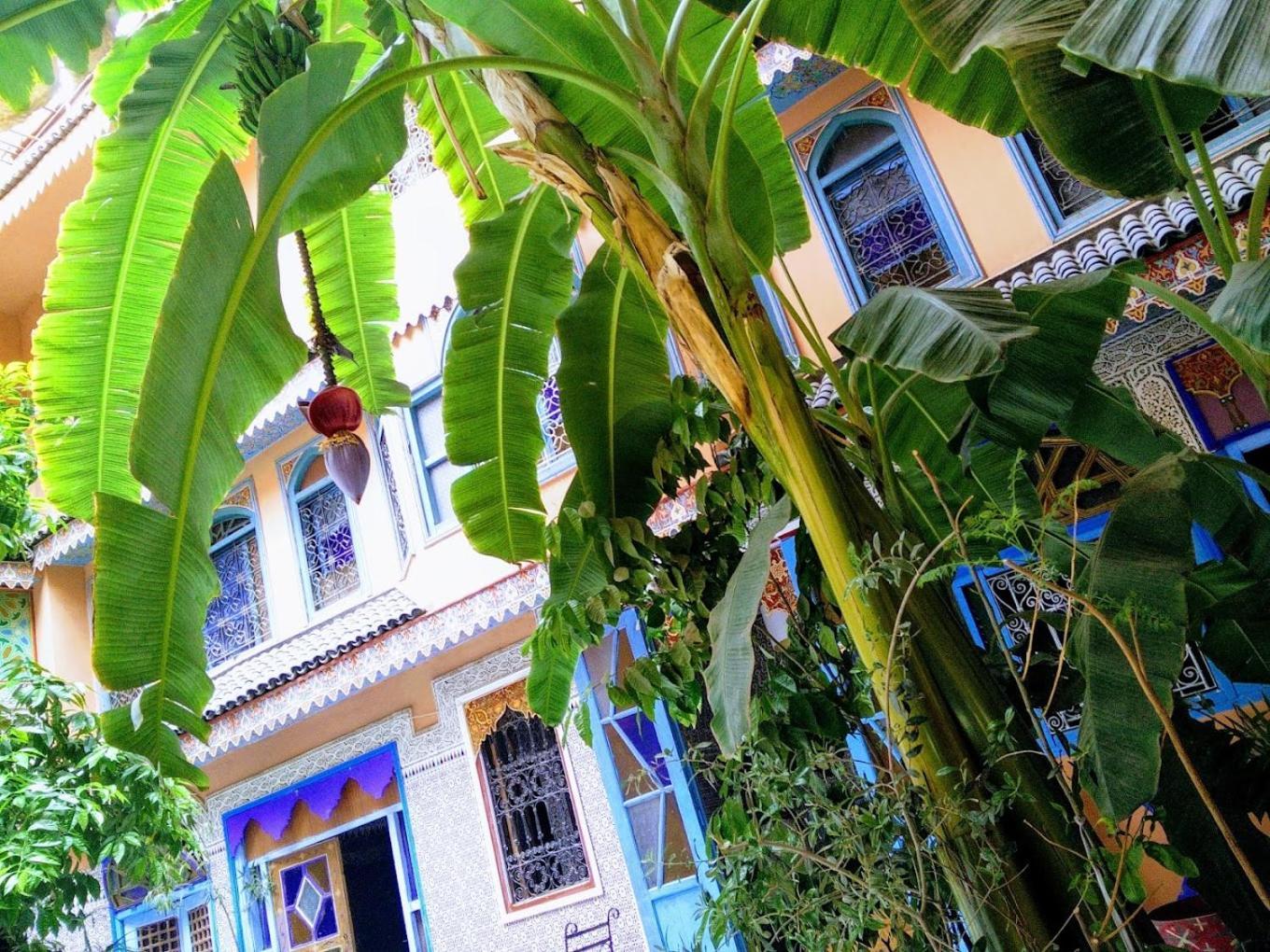 Riad Carole - Perfect For Families & Groups Marrakesh Luaran gambar