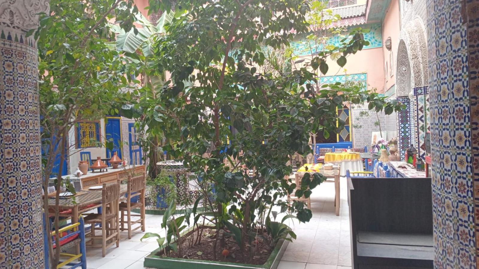Riad Carole - Perfect For Families & Groups Marrakesh Luaran gambar